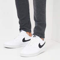 Мужские кроссовки Nike Court Vision Lo DH2987-101