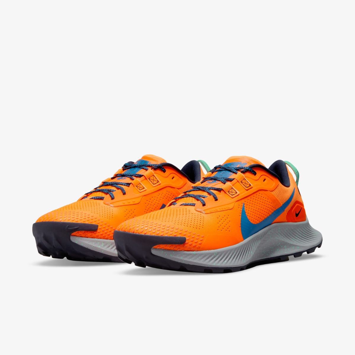 Мужские кроссовки Nike PEGASUS TRAIL 3 DA8697-800