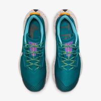 Мужские кроссовки Nike PEGASUS TRAIL 3 DA8697-300