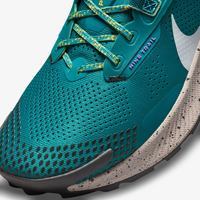 Мужские кроссовки Nike PEGASUS TRAIL 3 DA8697-300