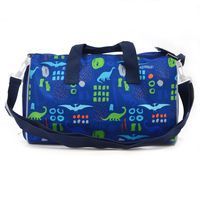 Сумка спортивная YES Dinosaurs