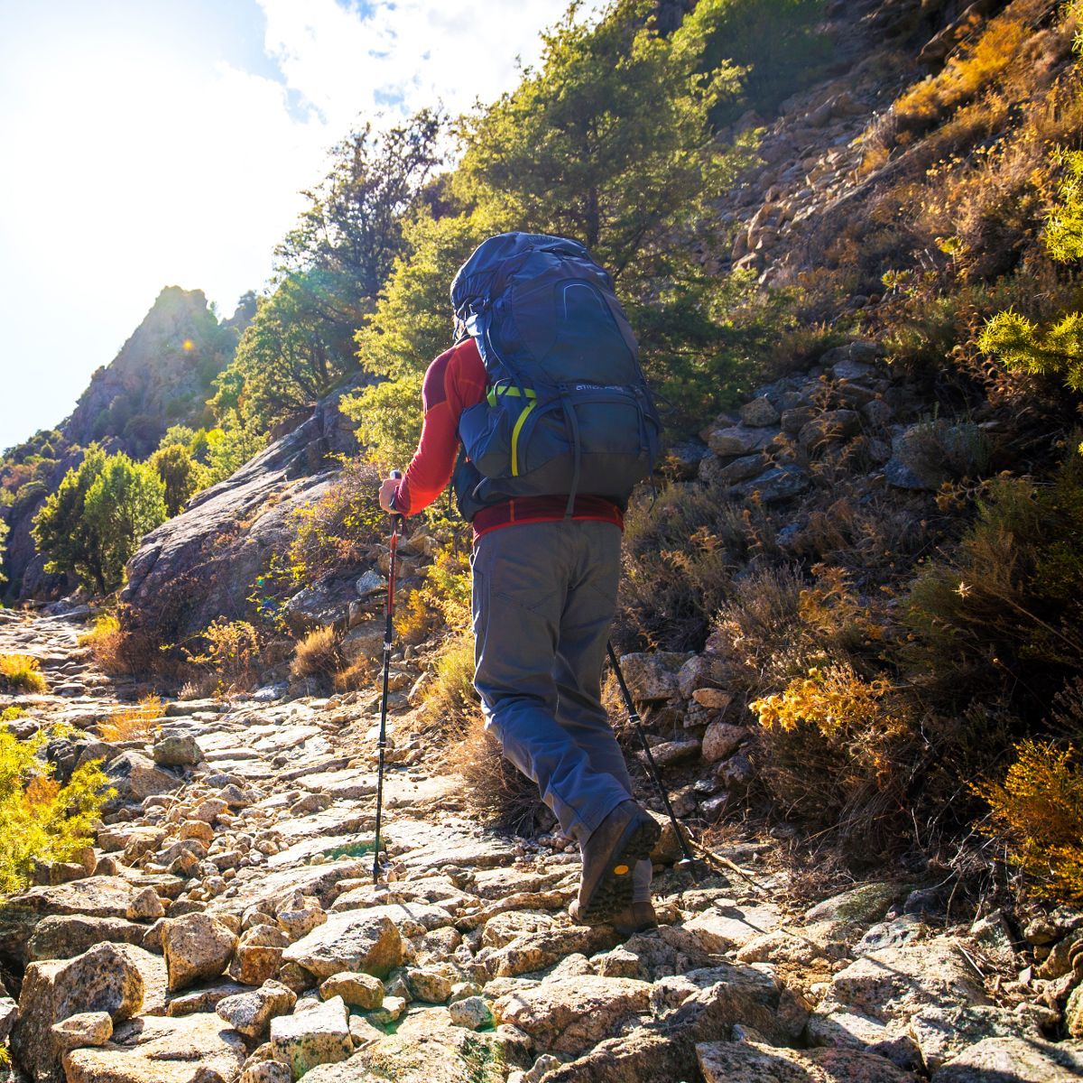 Рюкзак Osprey Atmos AG 65 (2021) Rigby Red червоний