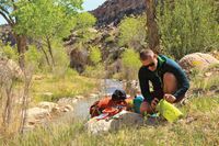 Гермомешок Osprey Ultralight Drysack 6 синій (009.0042)