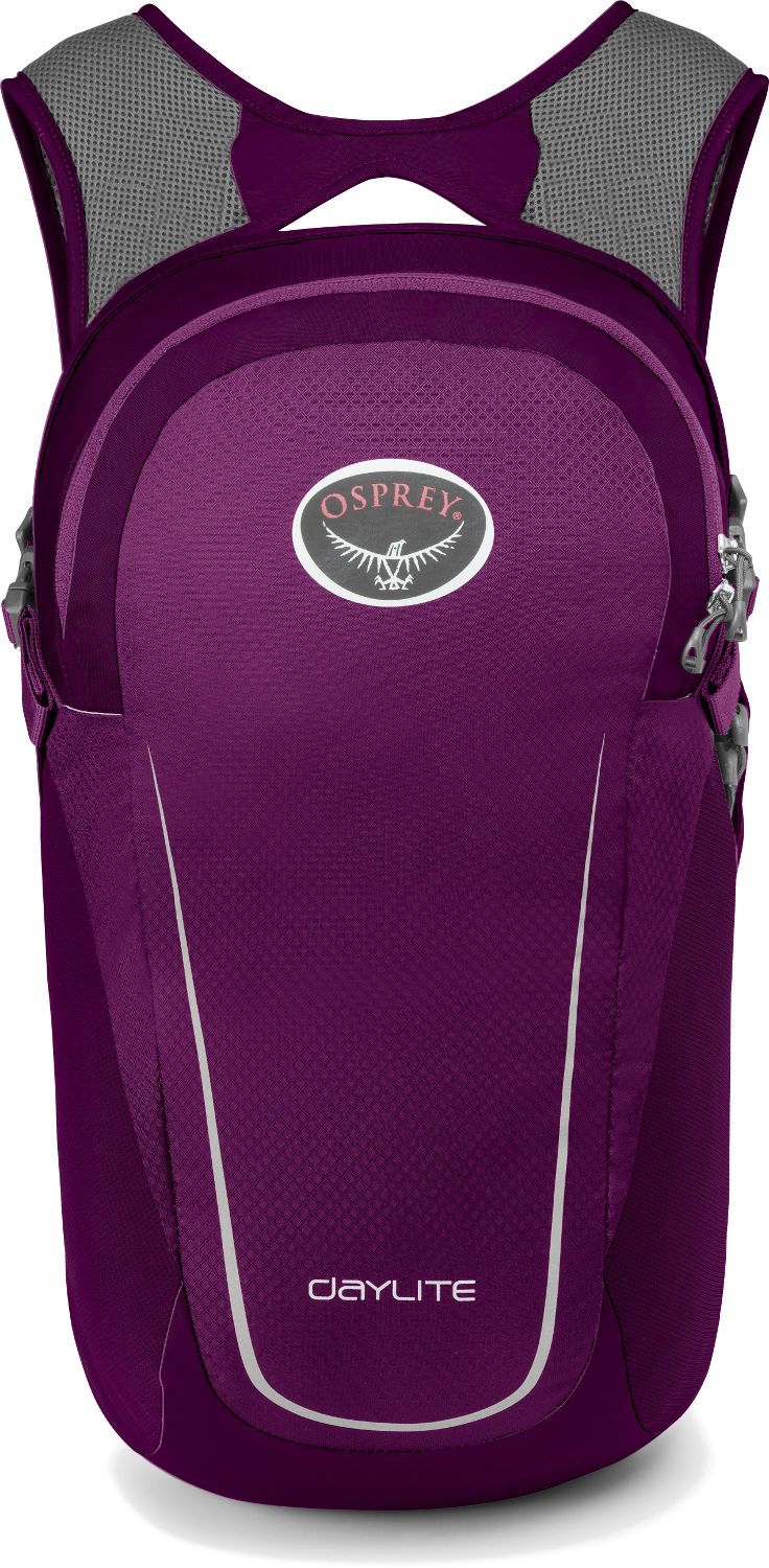 Рюкзак Osprey Daylite (2020) фіолетовий (009.1383)