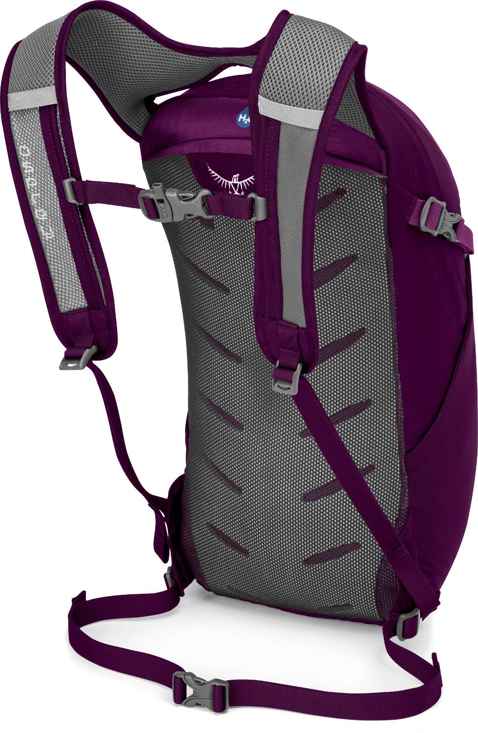 Рюкзак Osprey Daylite (2020) фіолетовий (009.1383)