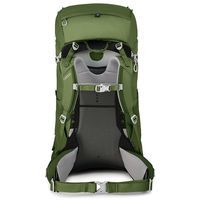 Рюкзак Osprey Ace 75 Venture Green (зелений) (009.2130)