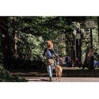 Рюкзак Osprey Daylite Sling Black (чорний) (009.2492)