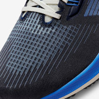 Мужские кроссовки Nike AIR ZOOM PEGASUS 39 PRM DO9580-400
