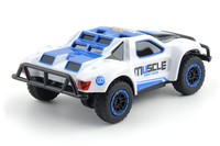 Машинка радиоуправляемая 1:43 HB Toys Muscle полноприводная (синий) HB-DK4302