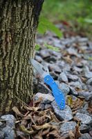 Нож складной Firebird F759M-BL