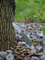 Нож складной Firebird FB7601-GR