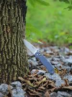 Нож складной Firebird FB727S-GY