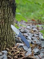 Нож складной Firebird FB7601-GY