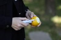 Мини мультитул Roxon M3 со сменными битами, серый