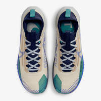 Кроссовки мужские Nike REACT PEGASUS TRAIL 4 GTX (DJ7926-100)
