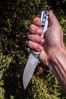 Нож складной Ruike P801-SF